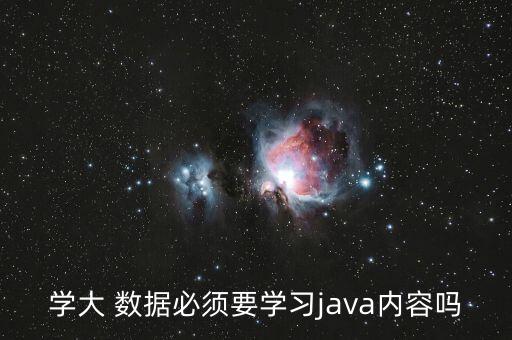 計(jì)算機(jī)大數(shù)據(jù)需要編程語(yǔ)言