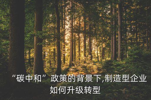 “碳中和”政策的背景下,制造型企業(yè)如何升級轉(zhuǎn)型