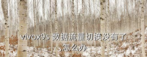 vivox9s 數(shù)據(jù)流量切換沒有了,怎么辦