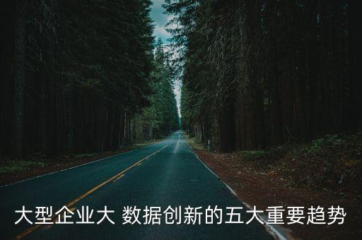 大型企業(yè)大 數(shù)據(jù)創(chuàng)新的五大重要趨勢(shì)