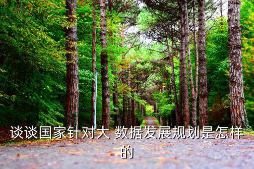 中國大數(shù)據(jù) 政策,大數(shù)據(jù)與競爭政策