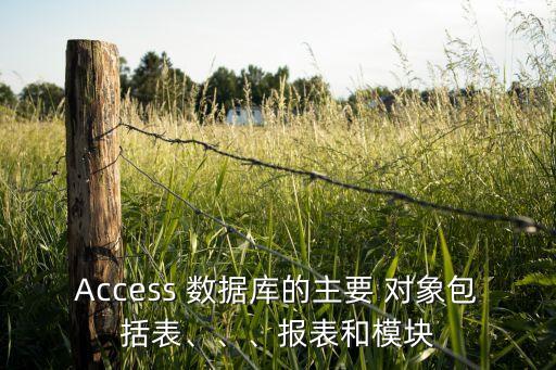 Access 數(shù)據(jù)庫的主要 對象包括表、、、報(bào)表和模塊