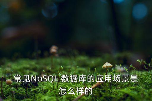 常見NoSQL 數(shù)據(jù)庫的應(yīng)用場景是怎么樣的