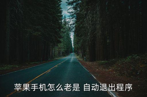 蘋果手機怎么老是 自動退出程序