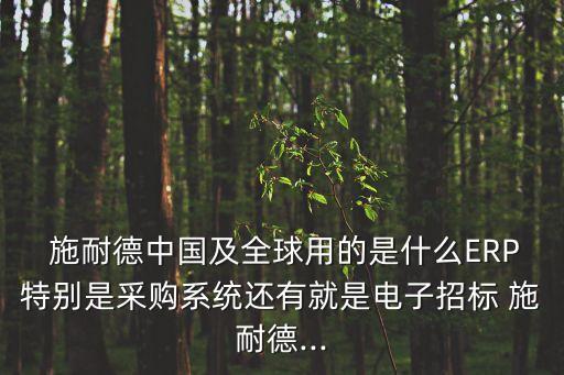  施耐德中國(guó)及全球用的是什么ERP特別是采購(gòu)系統(tǒng)還有就是電子招標(biāo) 施耐德...