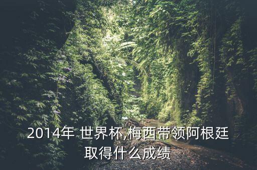 2014年 世界杯,梅西帶領(lǐng)阿根廷取得什么成績