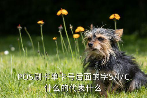 銀聯(lián)數(shù)據(jù)C研發(fā),銀聯(lián)好還是銀聯(lián)數(shù)據(jù)好