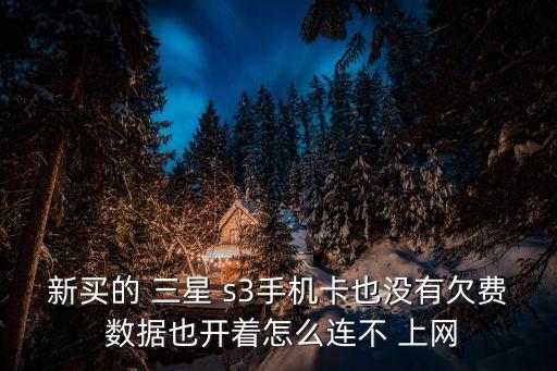 三星s3移動(dòng)數(shù)據(jù)不能上網(wǎng),三星手機(jī)開著移動(dòng)數(shù)據(jù)但是不能上網(wǎng)
