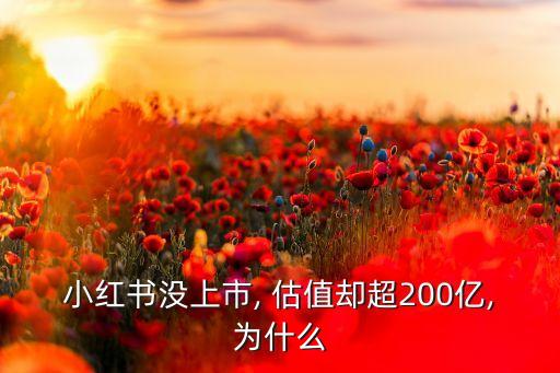 小紅書沒上市, 估值卻超200億,為什么