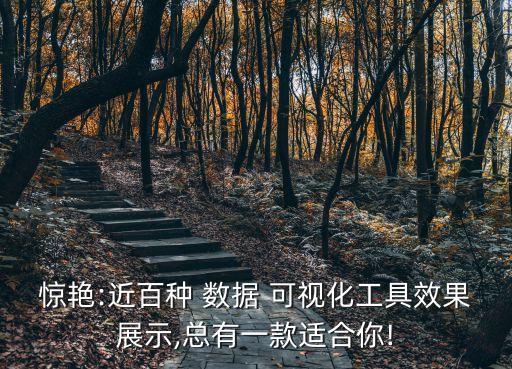 驚艷:近百種 數(shù)據(jù) 可視化工具效果展示,總有一款適合你!