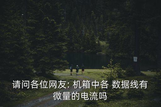 請問各位網(wǎng)友: 機箱中各 數(shù)據(jù)線有微量的電流嗎