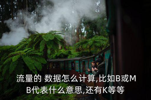  流量的 數(shù)據(jù)怎么計(jì)算,比如B或MB代表什么意思,還有K等等