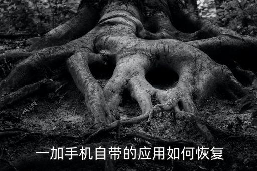  一加手機(jī)自帶的應(yīng)用如何恢復(fù)