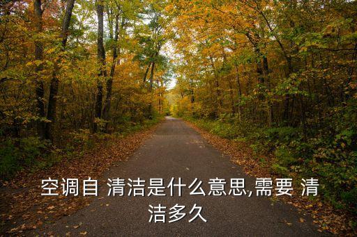  空調(diào)自 清潔是什么意思,需要 清潔多久