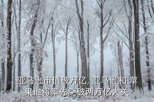 亞馬遜蘋果數(shù)據(jù)線第一