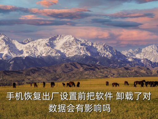 保留數(shù)據(jù)卸載應(yīng)用,安卓保留數(shù)據(jù)卸載app