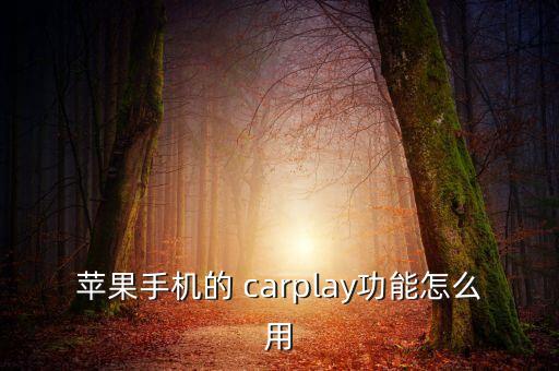 carplay自動切換音源,功放怎么關(guān)閉自動切換音源