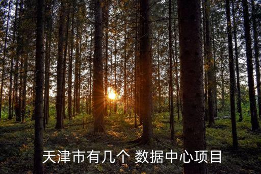  天津市有幾個(gè) 數(shù)據(jù)中心項(xiàng)目
