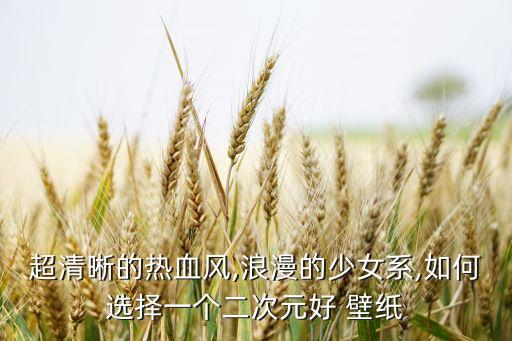 超清晰的熱血風(fēng),浪漫的少女系,如何選擇一個(gè)二次元好 壁紙