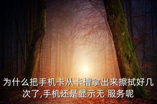抹掉數(shù)據(jù)后sim卡無(wú)服務(wù),iphone抹掉數(shù)據(jù)后sim卡無(wú)效