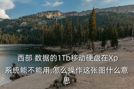  西部 數(shù)據(jù)的1Tb移動硬盤在Xp系統(tǒng)能不能用,怎么操作這張圖什么意思