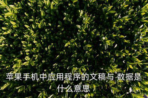 蘋果手機(jī)中應(yīng)用程序的文稿與 數(shù)據(jù)是什么意思