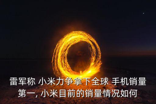 雷軍稱 小米力爭拿下全球 手機銷量第一, 小米目前的銷量情況如何