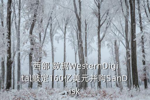 紫光西部數(shù)據(jù) 軟件,西部數(shù)據(jù)里面的軟件有什么用