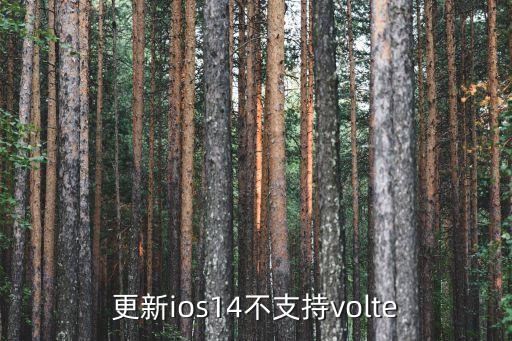 更新ios14不支持volte