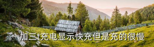  一加三t充電顯示快充但是充的很慢