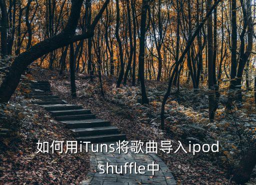 自制 shuffle數(shù)據(jù)線,ipod shuffle 4數(shù)據(jù)線