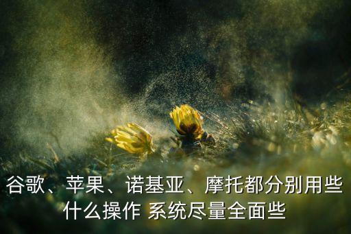 谷歌、蘋果、諾基亞、摩托都分別用些什么操作 系統(tǒng)盡量全面些