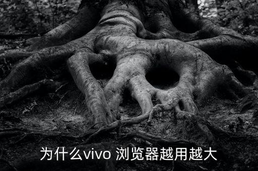 瀏覽器數(shù)據(jù)重要嗎,QQ瀏覽器幾十個G的數(shù)據(jù)在哪刪