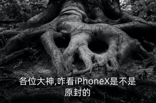 各位大神,咋看iPhoneX是不是原封的