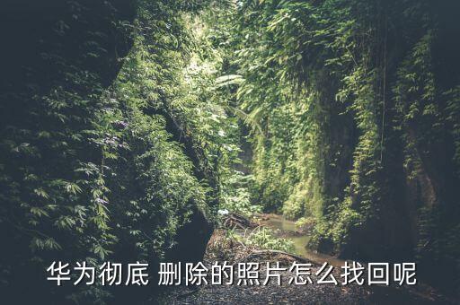 華為手機(jī)如何刪除數(shù)據(jù)恢復(fù),如何刪除華為手機(jī)上的app