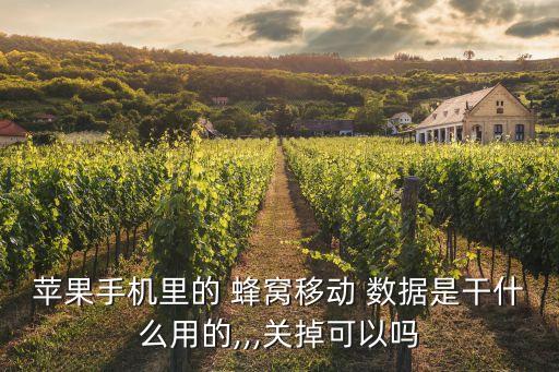 蜂窩移動數(shù)據(jù)優(yōu)勢