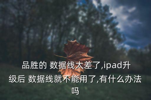  品勝的 數(shù)據(jù)線太差了,ipad升級(jí)后 數(shù)據(jù)線就不能用了,有什么辦法嗎