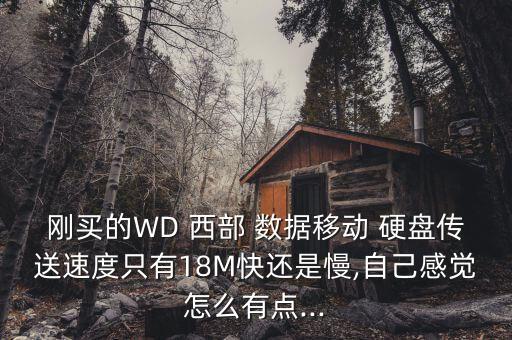 西部數(shù)據(jù)硬盤傳輸速度