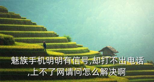  魅族手機(jī)明明有信號(hào),卻打不出電話,上不了網(wǎng)請(qǐng)問怎么解決啊