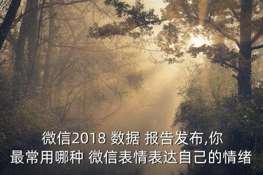 騰訊微信數(shù)據(jù)報告,微信聊天數(shù)據(jù)騰訊保留多久 ?