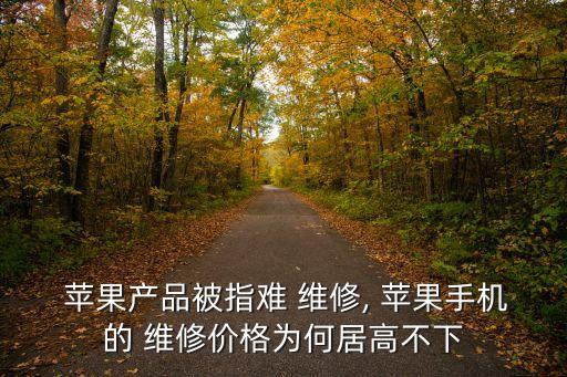 蘋果數(shù)據(jù)線維修難