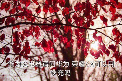 榮耀6x 數(shù)據(jù)線,榮耀30數(shù)據(jù)線是幾A