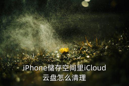 icloud清除備份數(shù)據(jù),為什么iCloud備份數(shù)據(jù)點(diǎn)進(jìn)去了沒(méi)有