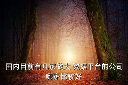 國內(nèi)目前有幾家做大 數(shù)據(jù)平臺的公司哪家比較好