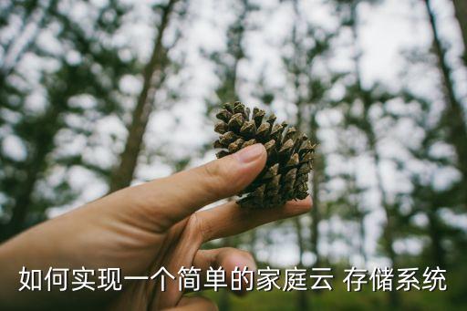 無線數(shù)據(jù)存儲(chǔ)共享器