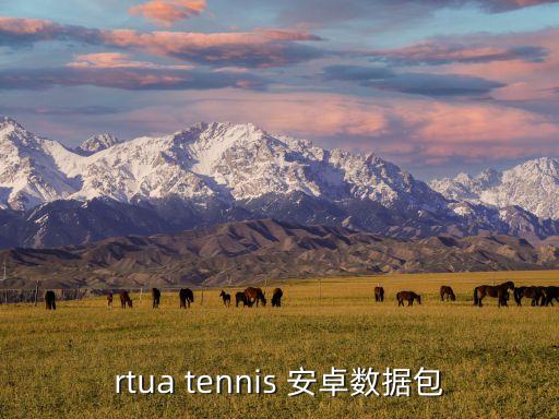 virtua tennis 安卓數(shù)據(jù)包