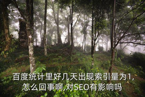  百度統(tǒng)計(jì)里好幾天出現(xiàn)索引量為1,怎么回事啊,對(duì)SEO有影響嗎