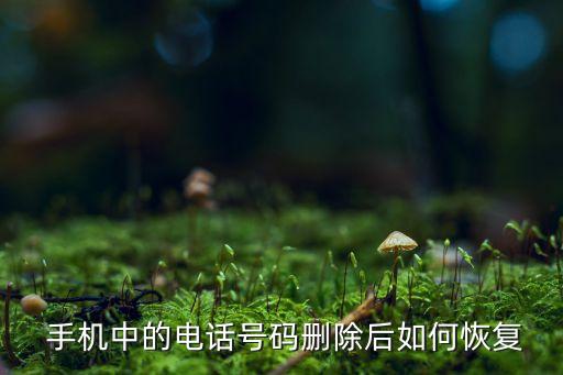 手機中的電話號碼刪除后如何恢復