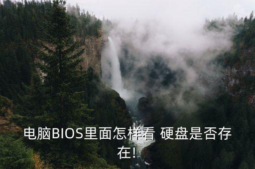 電腦BIOS里面怎樣看 硬盤是否存在!