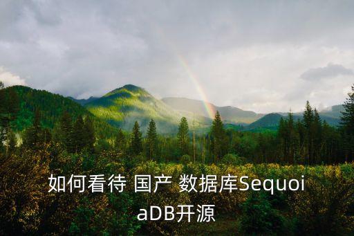 如何看待 國(guó)產(chǎn) 數(shù)據(jù)庫(kù)SequoiaDB開源